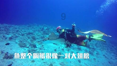 喜欢一个人需要理由吗？游戏画面